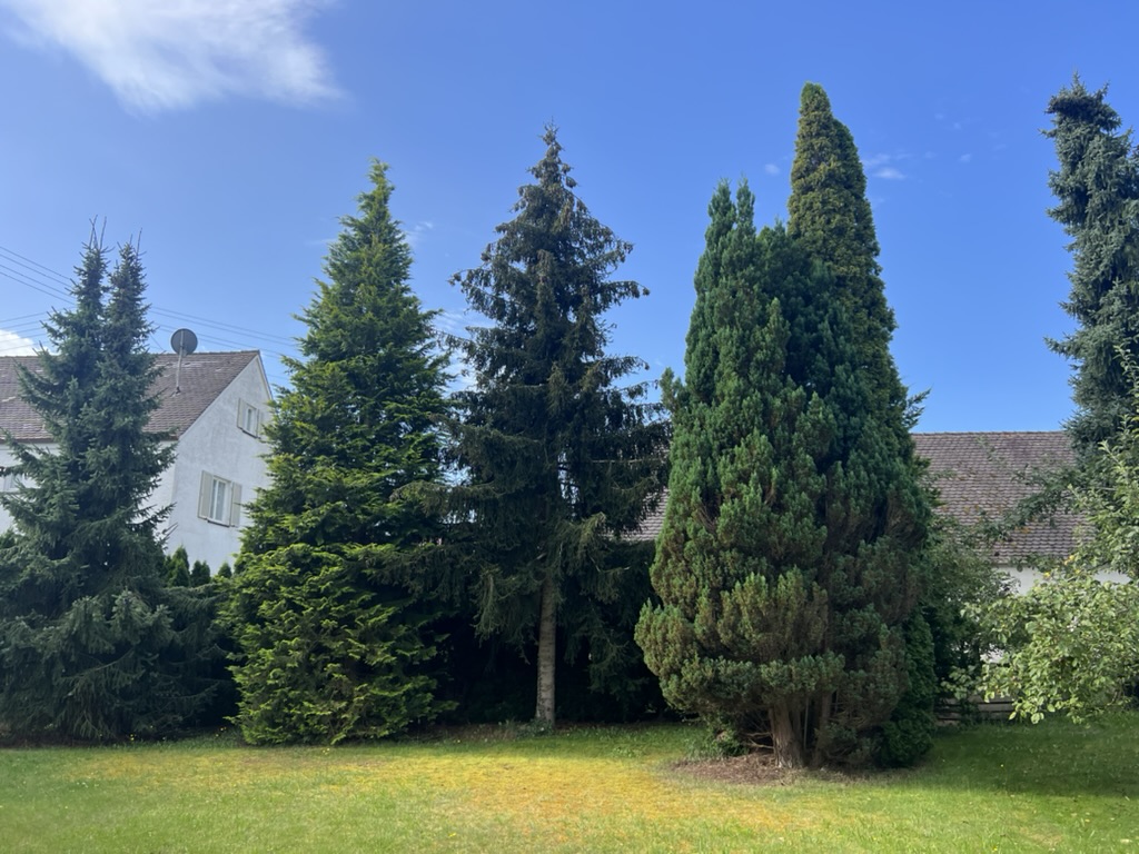 Premium-Gartenansicht Doppelhaushälfte